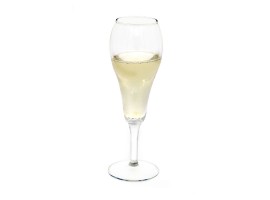 Tulip Champagne Glass 6 oz