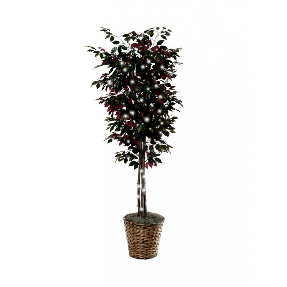 Silk Ficus Tree with Lights